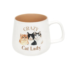 I Love My Pet Mug Crazy Cat Lady