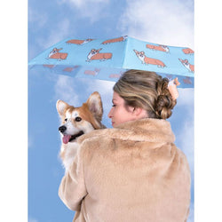 Original Duckhead Duck Umbrella - Corgi Mint