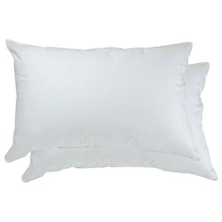 Cloud Support Twin Pack Pillow -Pick Up Only-